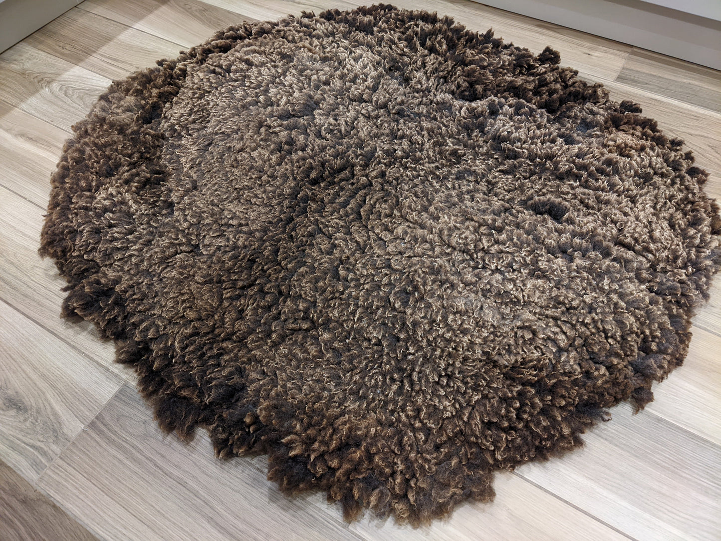 Extra large milk chocolate medium pile rug