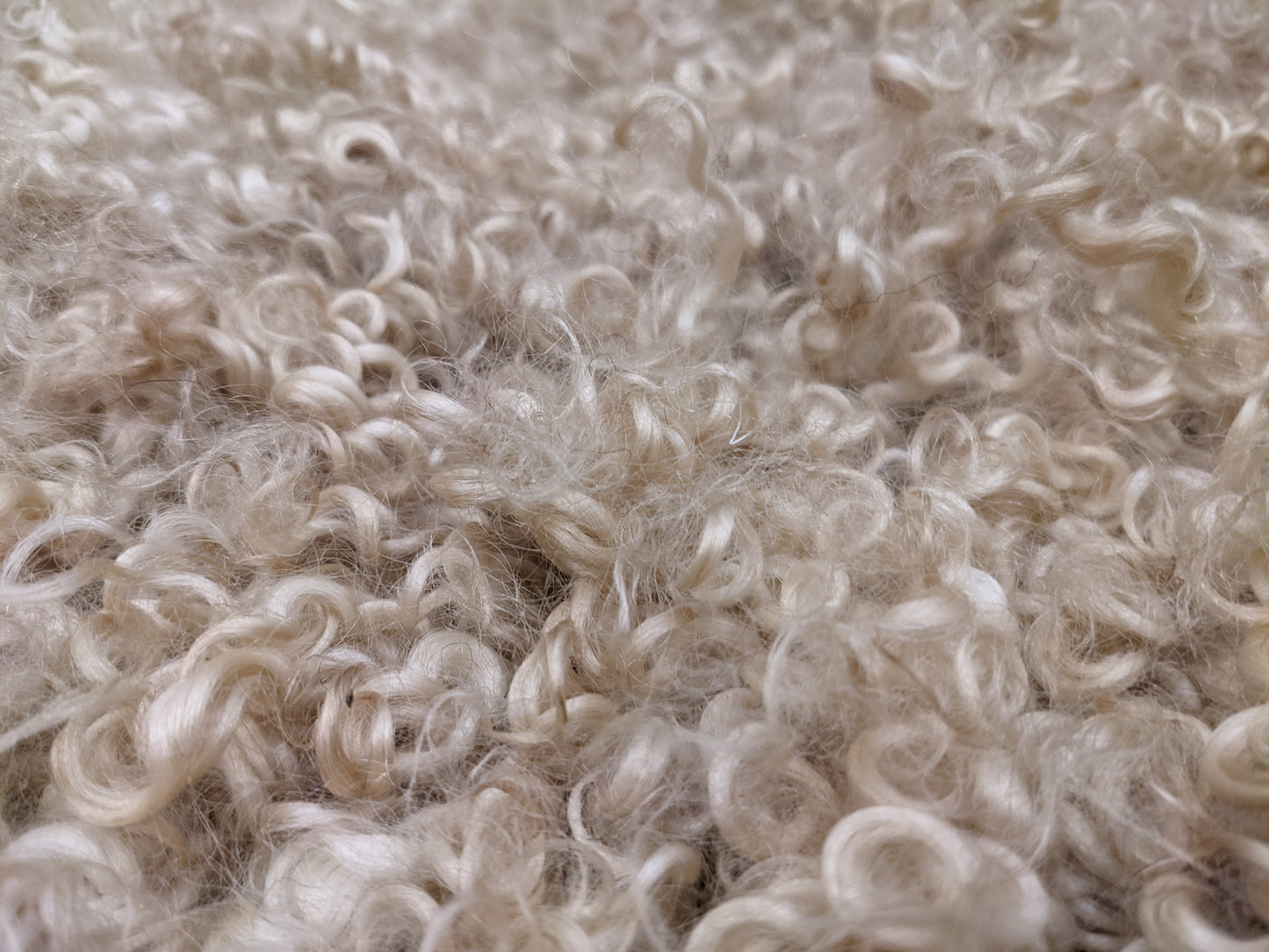 Large Leicester Longwool cream rug