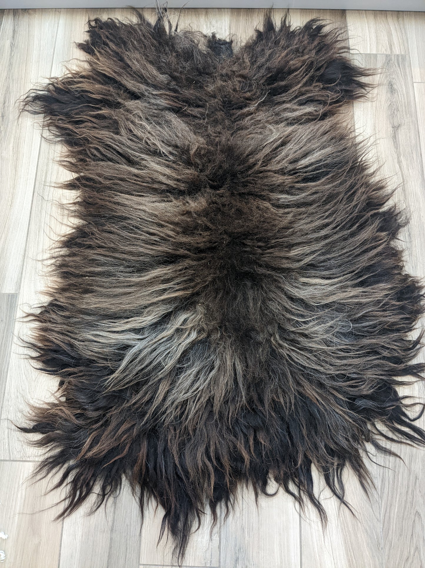 Extra large brown Icelandic Melody