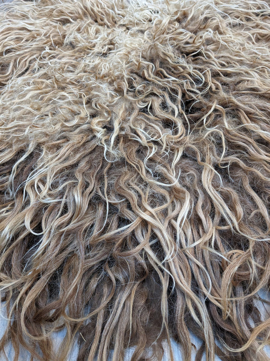 Auburn pure bred Icelandic rug