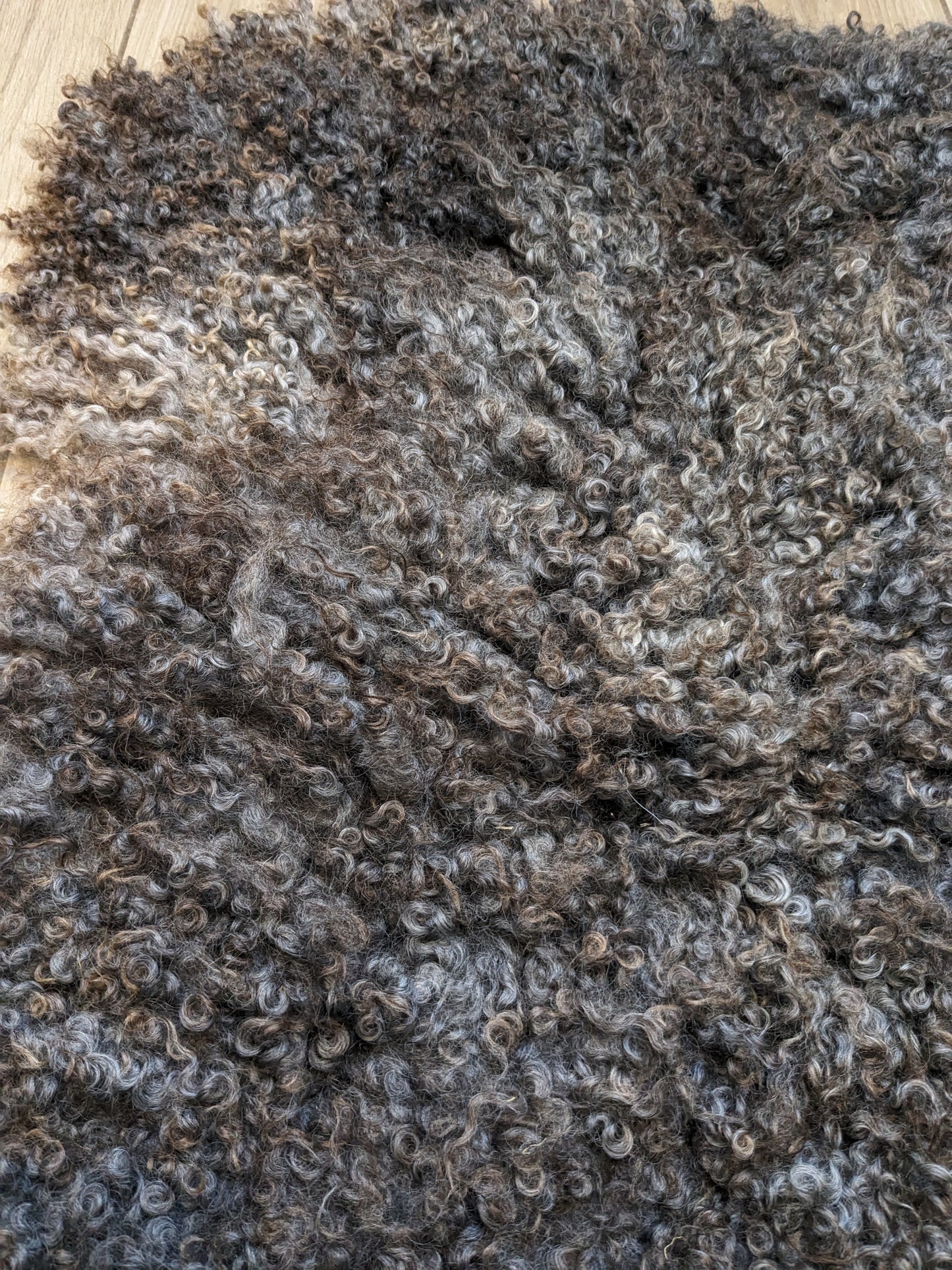 Pure bred Gotland fleece