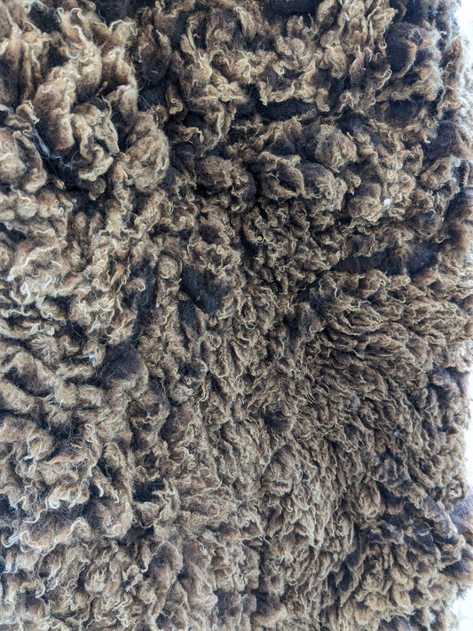 medium burnt caramel rug