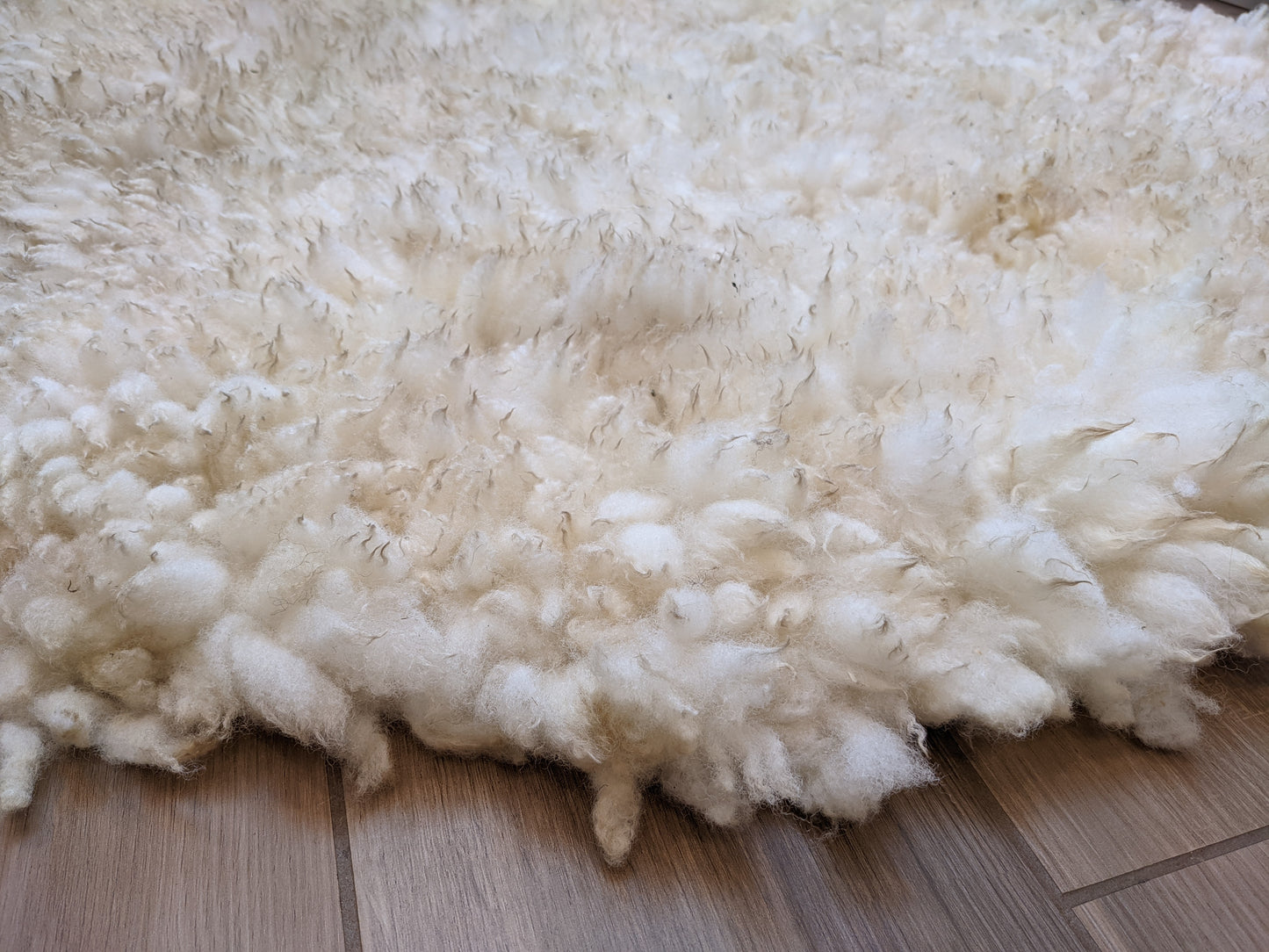 Extra Large Cream Medium Pile Rug