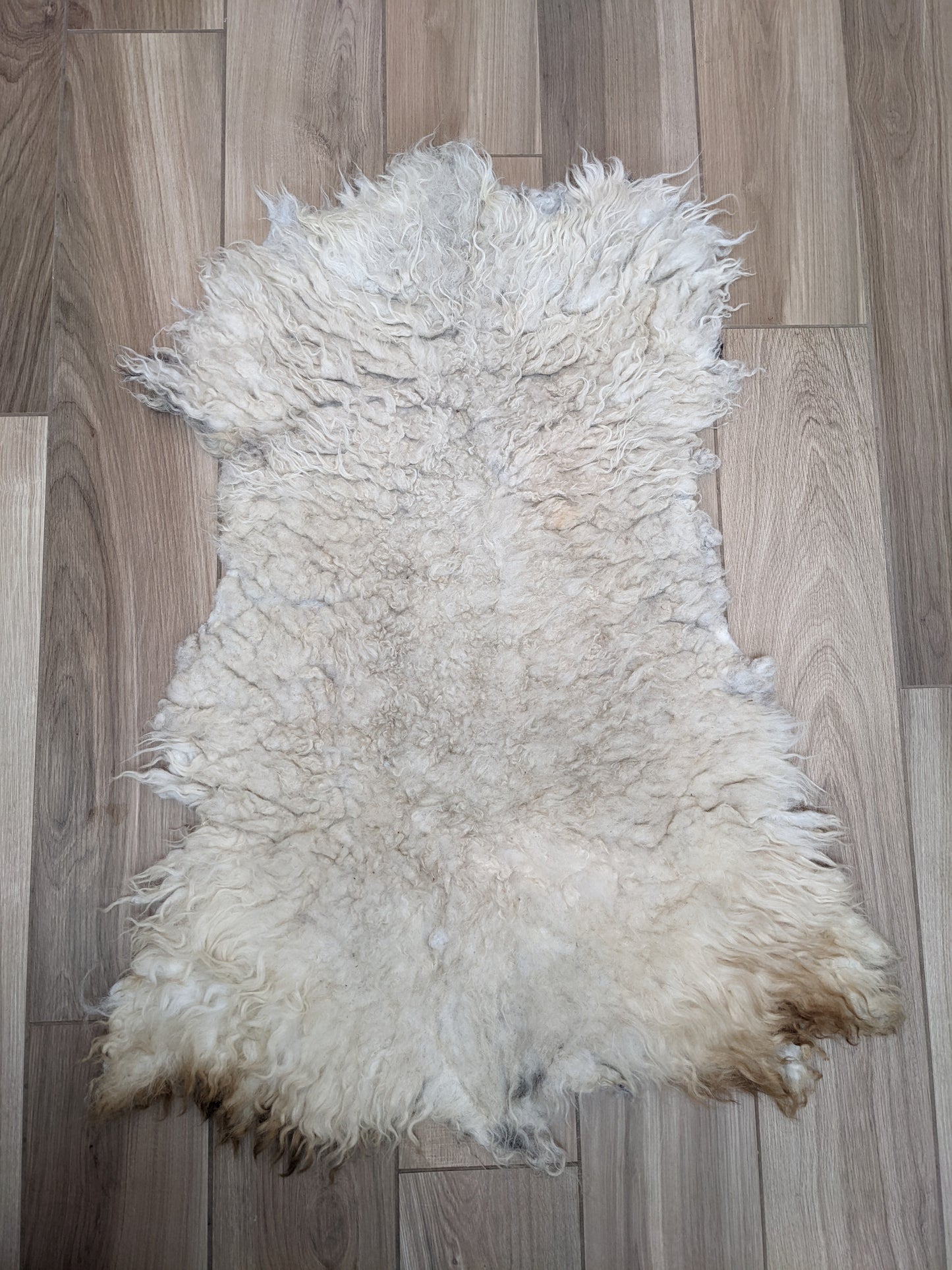 Medium cream rustic rug