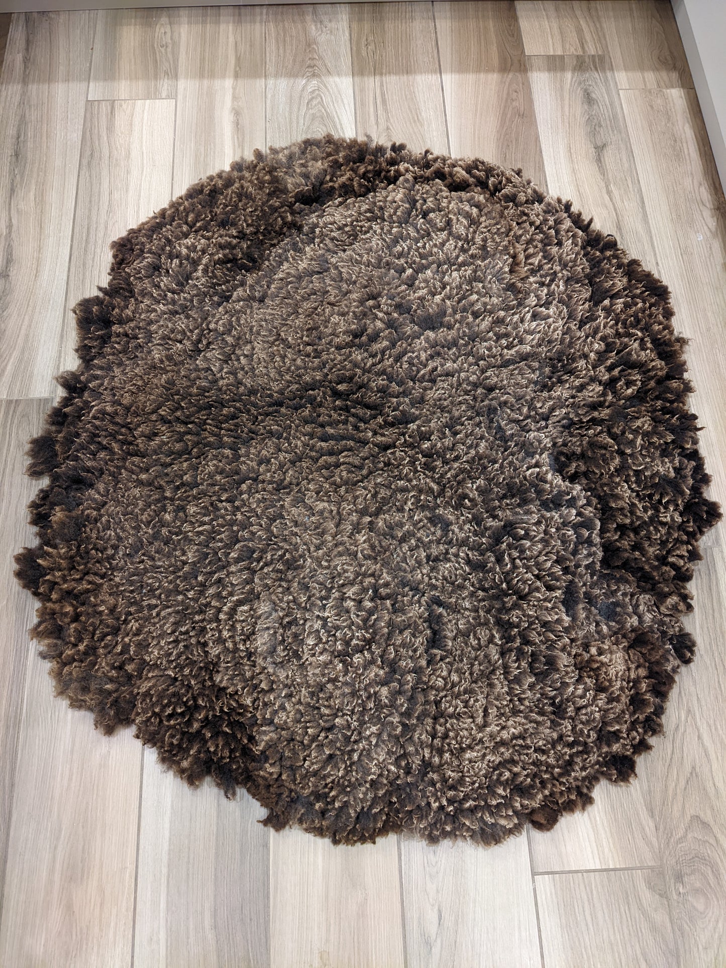 Extra large milk chocolate medium pile rug
