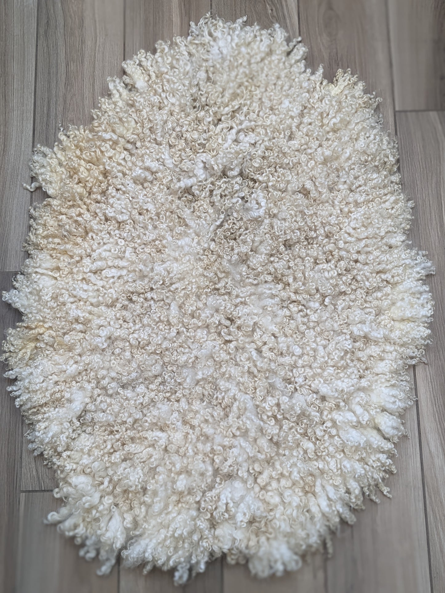 luxury medium sized (full fleece) rare breed leicester longwool rug